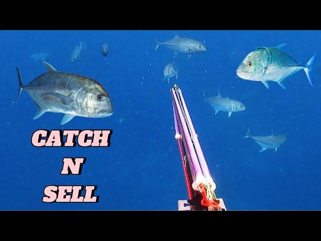 CATCH N' SELL || SPEARFISHING PHILIPPINES || TREVALLIES SEASON || BANTON ROMBLON!