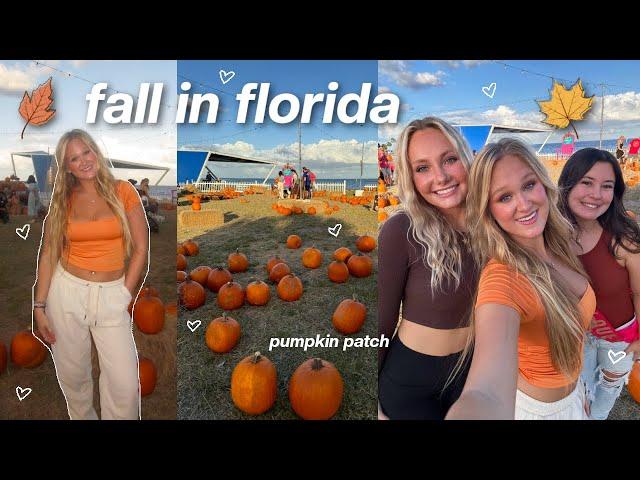 the perfect fall day *fall in florida* 