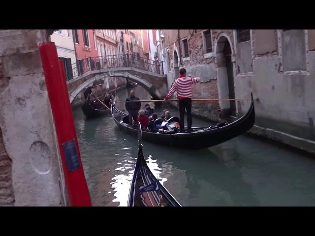 Gondolier Venizia