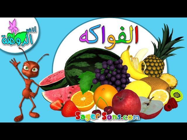 اناشيد الروضة - تعليم الاطفال - الفواكه - بدون موسيقى - بدون ايقاع