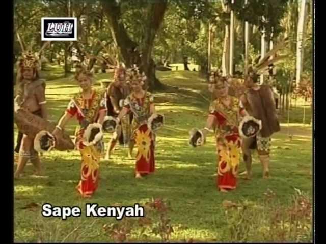 Sape Kenyah(Kenyah)