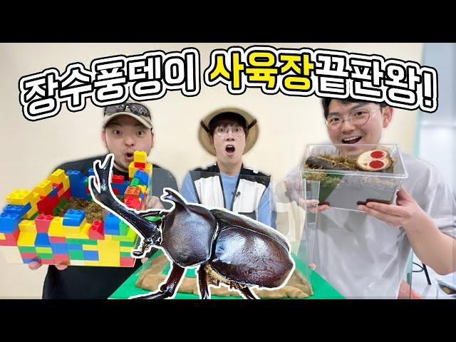 장수풍뎅이 집만들기 대회! [모여라 생물팡팡 EP7]