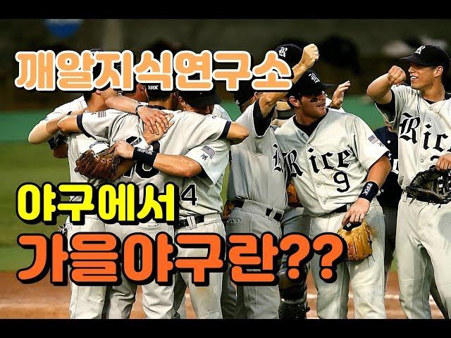 (깨알지식연구소)야구 용어 5탄!! 가을야구란??? 야알못,야구초보를 위한 영상입니다 ^^