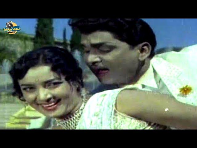 ANR AND JAMUNA VINNANULE PRIYA TELUGU LOVE SONG | BANDIPOTU DONGALU MOVIE #ghantasala #psusheela