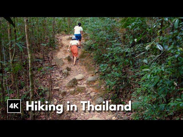 Koh Chang Virtual HIKE To The MOST POPULAR Waterfall !! 4K Thailand Vlog