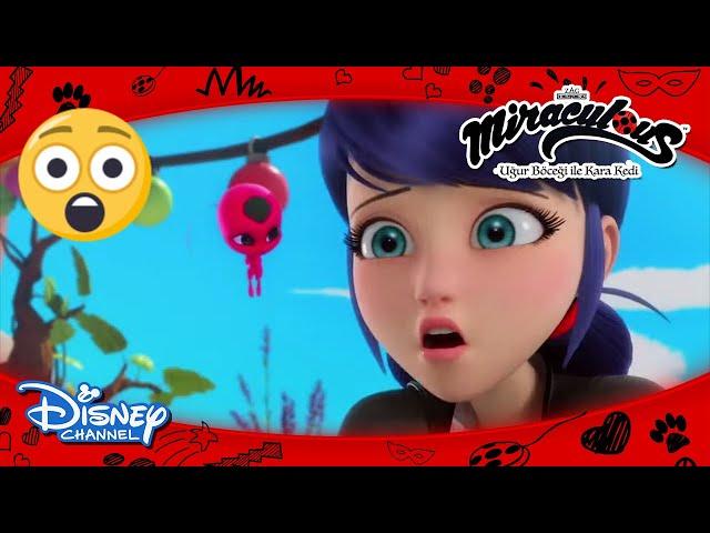 Mucize: Uğur Böceği ile Kara Kedi I Marinette Her Şeyi Mahvediyor! I Disney Channel TR