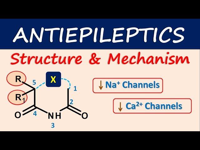 Antiepileptics- Structure and mechanism