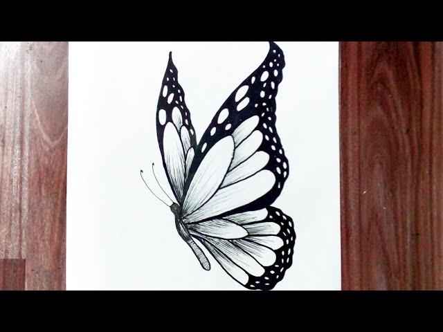 How to draw a butterfly easy step by step