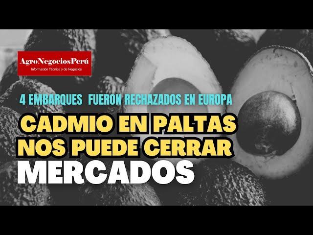 Cadmio en los alimentos: Urgente tener una institución que supervise la calidad de lo que consumimos