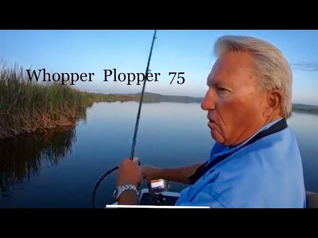 It's a great lure-Whopper Plopper 75