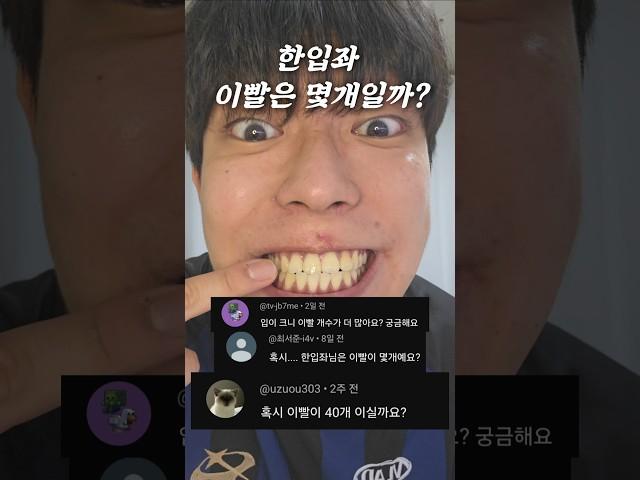 한입좌 이빨개수 #치아 #치아개수