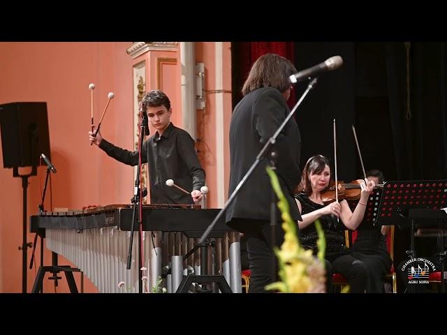 Alexander Vichev plays Sejourne Marimba Concerto live in Sofia, Levon Manukyan conductor.