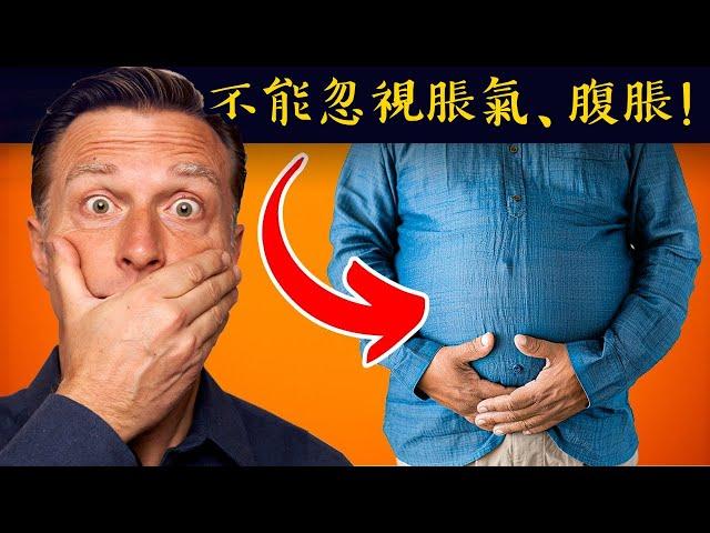 肚子脹氣、腹脹、消化不良代表什麼？7種自然療法,柏格醫生 Dr Berg