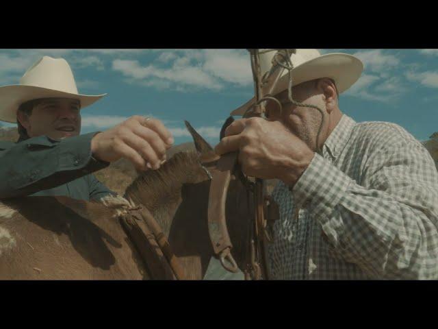 El Piloto y su Estilo - Porte de Ranchero