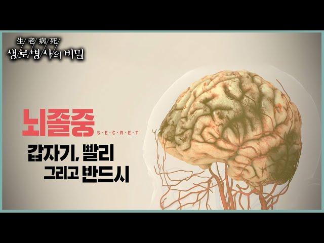 [본방 하이라이트] 뇌졸중 : 갑자기, 빨리 그리고 반드시 (KBS 20220914 방송)