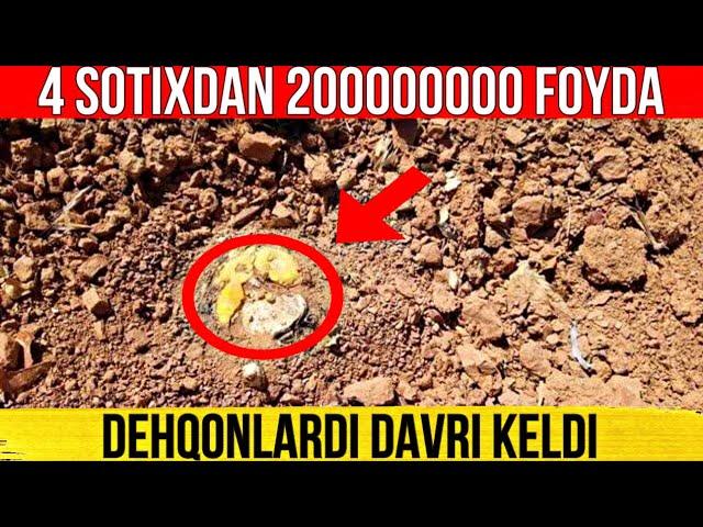 4 SOTIXDAN 200000000 FOYDA ️+998996221881