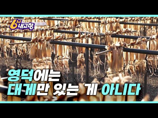 영덕 군민들 직접 등판!! “대게만 찾는 사람들 너어어어무 답답해요”ㅣ KBS 6시 내고향 발길따라 고향 기행 230104 방송