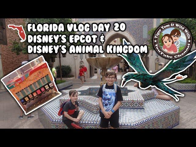 EPCOT & ANIMAL KINGDOM | Day 20 | Tiger Tom and Wild Will