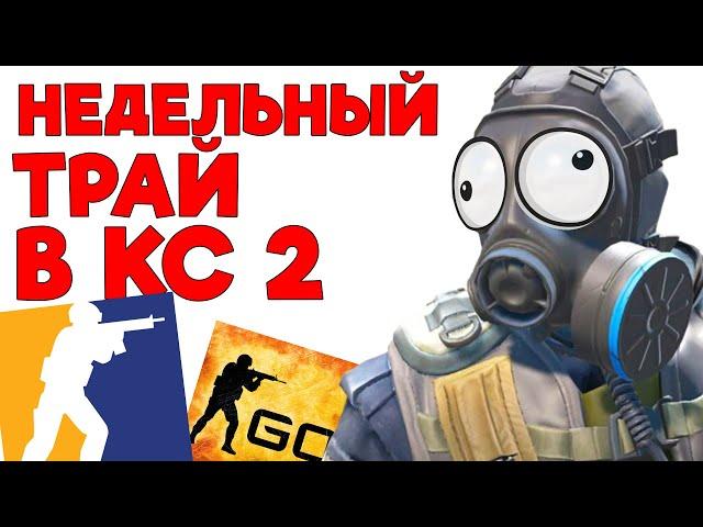 Новичок НЕДЕЛЮ играл в КС 2 и вот ЧТО из ЭТОГО ВЫШЛО #csgo #ксго