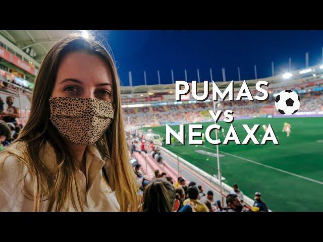 American goes to a Mexican Soccer Game!  Pumas vs Necaxa