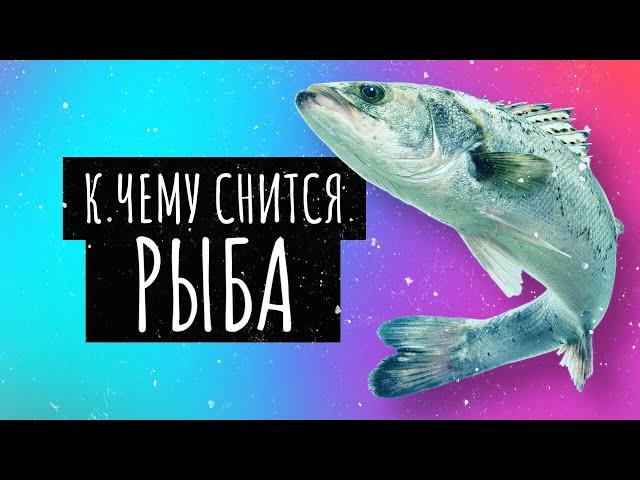 К чему снится рыба. Сонник рыба, толкование сна