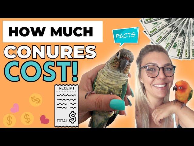 THE TRUE INITIAL COSTS OF GETTING A CONURE