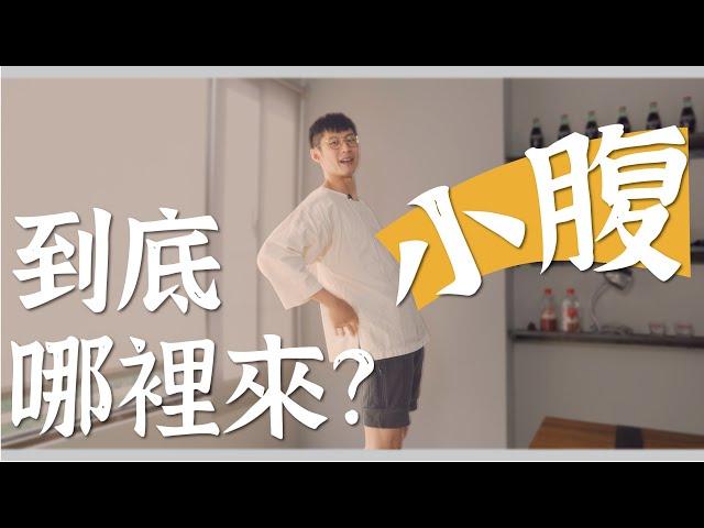 有小腹不是胖！小腹到底哪裡來？｜迷思破解