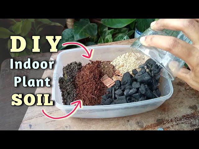 DIY Soil Mix for Indoor Plants// Potting Mix for Indoor Plants