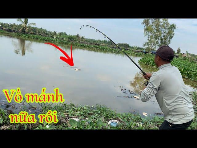 Câu Cá Tra Sông | Bãi Cá Khủng Pen Cái Có Hugo | Fishing Miền Tây