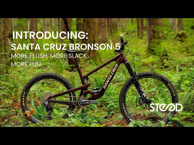 Santa Cruz Bronson 5 Has LESS Anti-squat?!