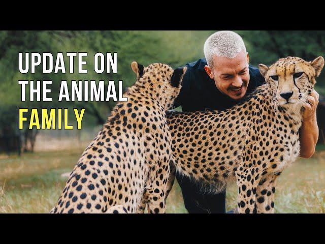 Dean Schneider - Hakuna Mipaka VLOG 7 Update on the Animal Family