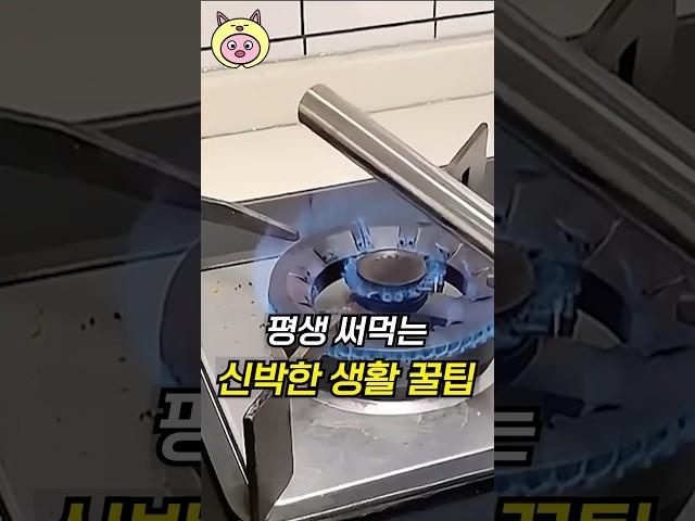 평생 써먹는 신박한 생활 꿀팁!