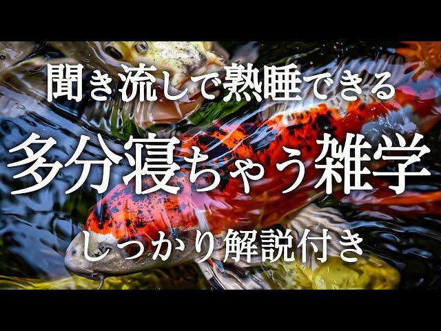 【睡眠導入】良質睡眠の深い雑学【リラックス】多分寝ちゃう雑学