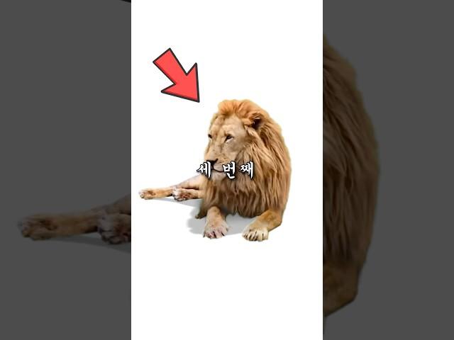 전교 1등도 못푸는 전설의 문제 (정답 포함)