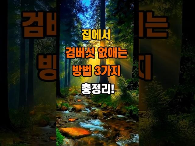 집에서 검버섯 없애는 방법 3가지 총정리! #명언 #좋은글 #지혜 #인생조언