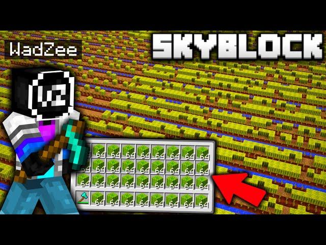 I Built the BIGGEST MELON FARM EVER on Minecraft Skyblock!