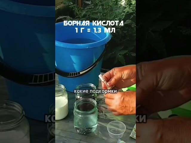 Посадите вместе и будете в шоке! #огород #садоводничество #сад #вредители #дача