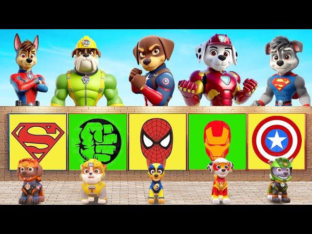 PAW Patrol CHALLENGE Rescue Ryder Escape From Cage By Becoming Superhero 5 Times Challenge