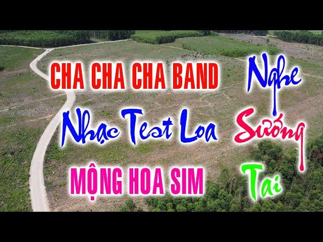 LK ChaChaCha Không Lời Test Loa Mới Nhất 2025 || Báo Trống Nghe Cực Đã Tai || Nhạc Sống Không Lời Qn