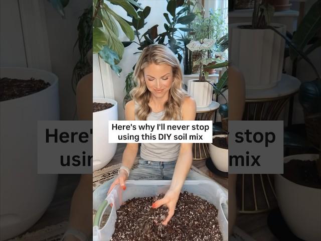 Let’s make a fresh batch of my DIY houseplant soil mix! 🪴 #plants