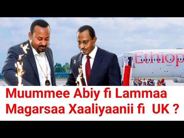 Abiy Lammaa  magarsa   Xaaliyaan haga uk ? | Moha Oromo