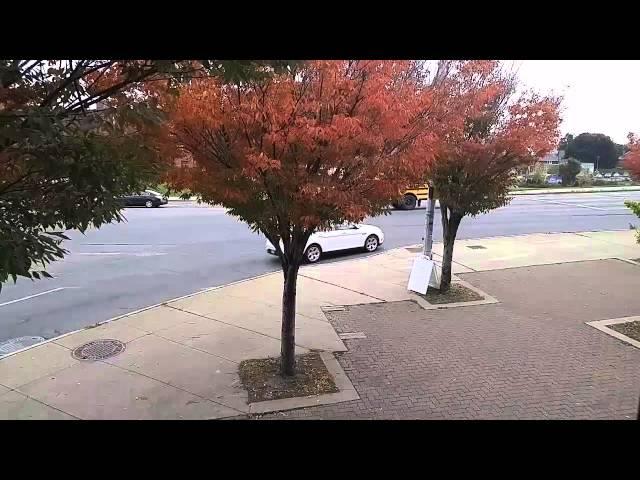 RocPic.Com live -  test - 350pm