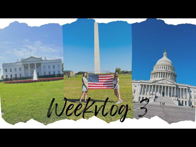 EF NEW YORK VLOG 3  WASHINGTON DC WEEKEND + VERHUIZEN VAN KAMER  #weekvlog3 