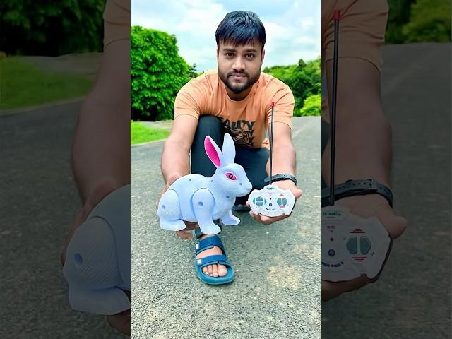RC Rabbit and RC Lion unboxing