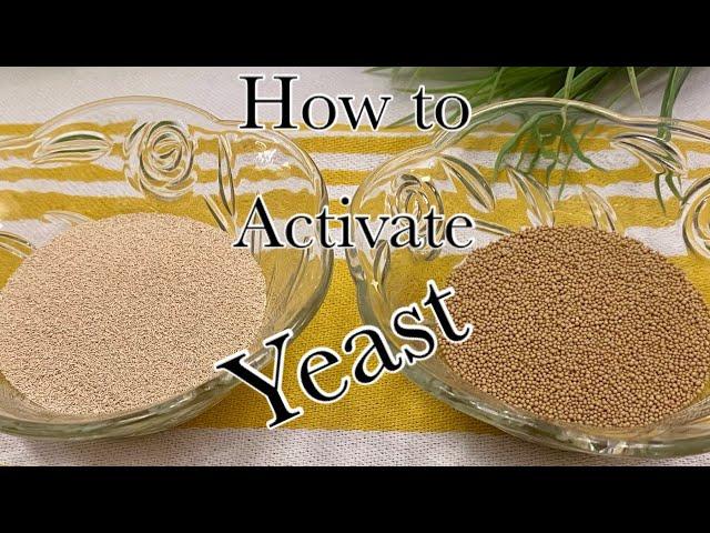 Instant Yeast vs Active Dry Yeast | How to Activate Yeast