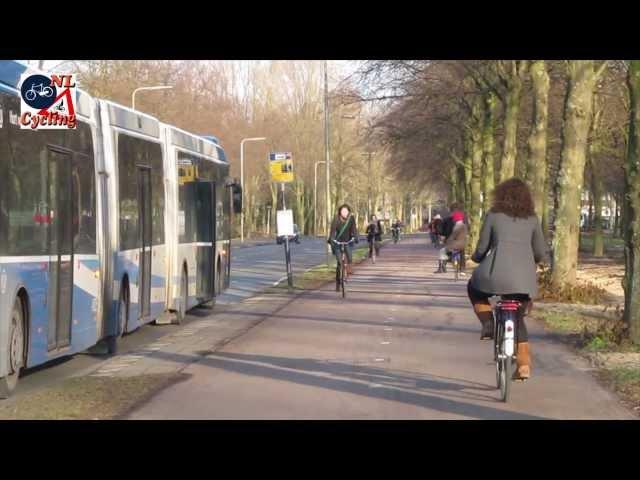 Cycling around a Dutch bus stop [283]