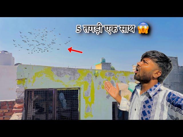 सेदी के लिये 2 बाते | Ghar Me Ghusa Diye kabootar | System Hang Kar Diya aaj