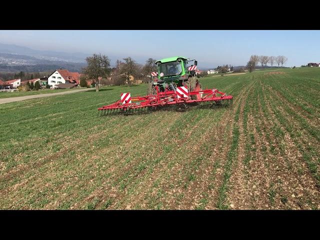 Striegeln im Frühjahr 2018