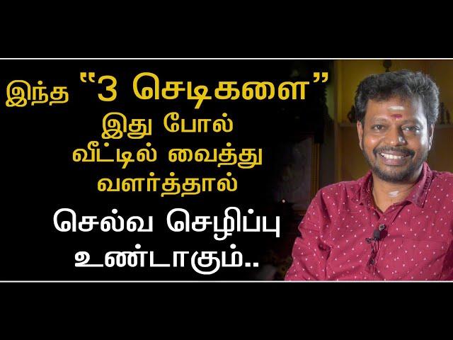 இந்த 3 செடிகளை வீட்டில் வைத்து வளர்த்தால்,செல்வ வளம் பெருகும்,மன நிம்மதி கிடைக்கும்.#sadhguru #786