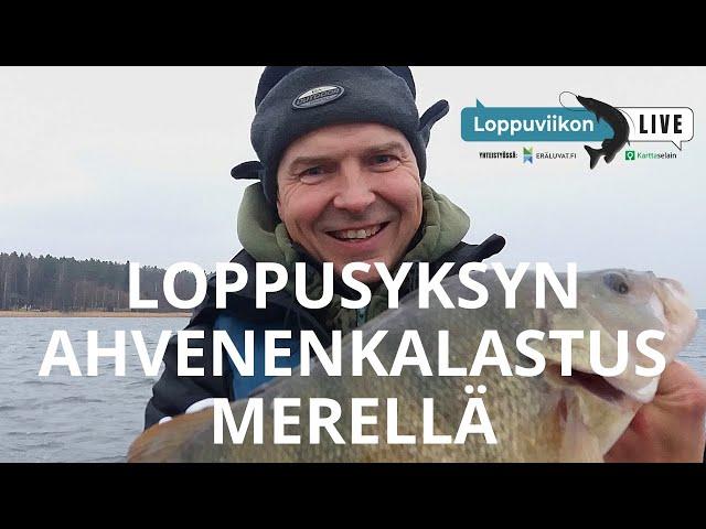 Loppusyksyn ahvenenkalastus merellä